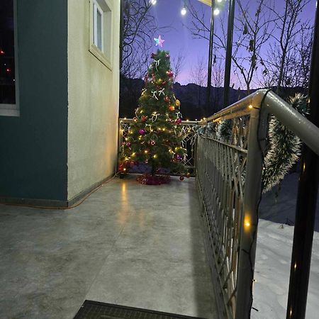 Guest House Vivaushba Bagvdanari المظهر الخارجي الصورة