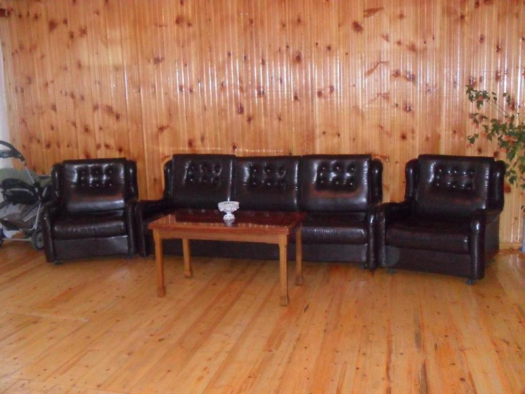 Guest House Vivaushba Bagvdanari المظهر الخارجي الصورة