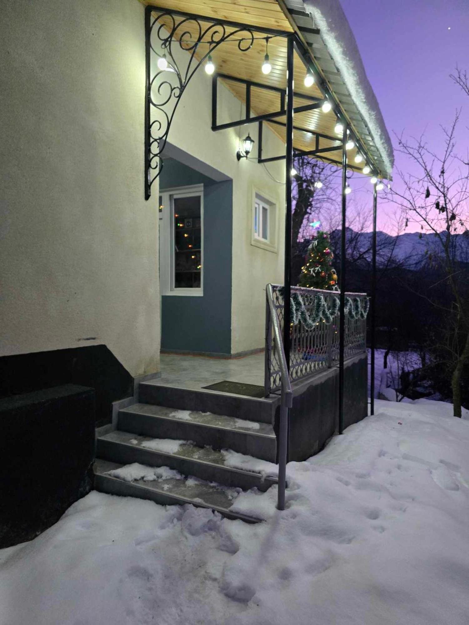 Guest House Vivaushba Bagvdanari المظهر الخارجي الصورة