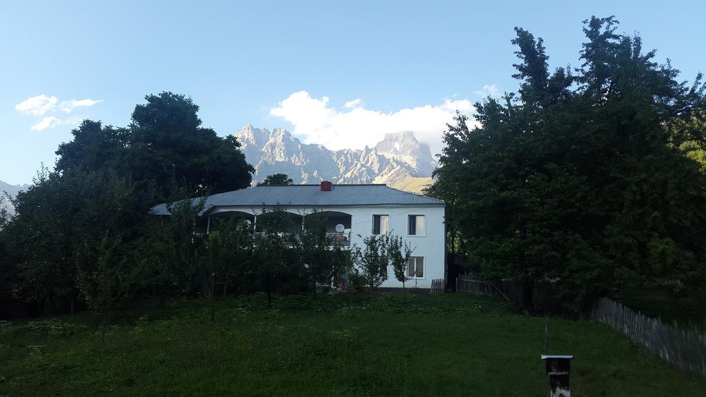 Guest House Vivaushba Bagvdanari المظهر الخارجي الصورة