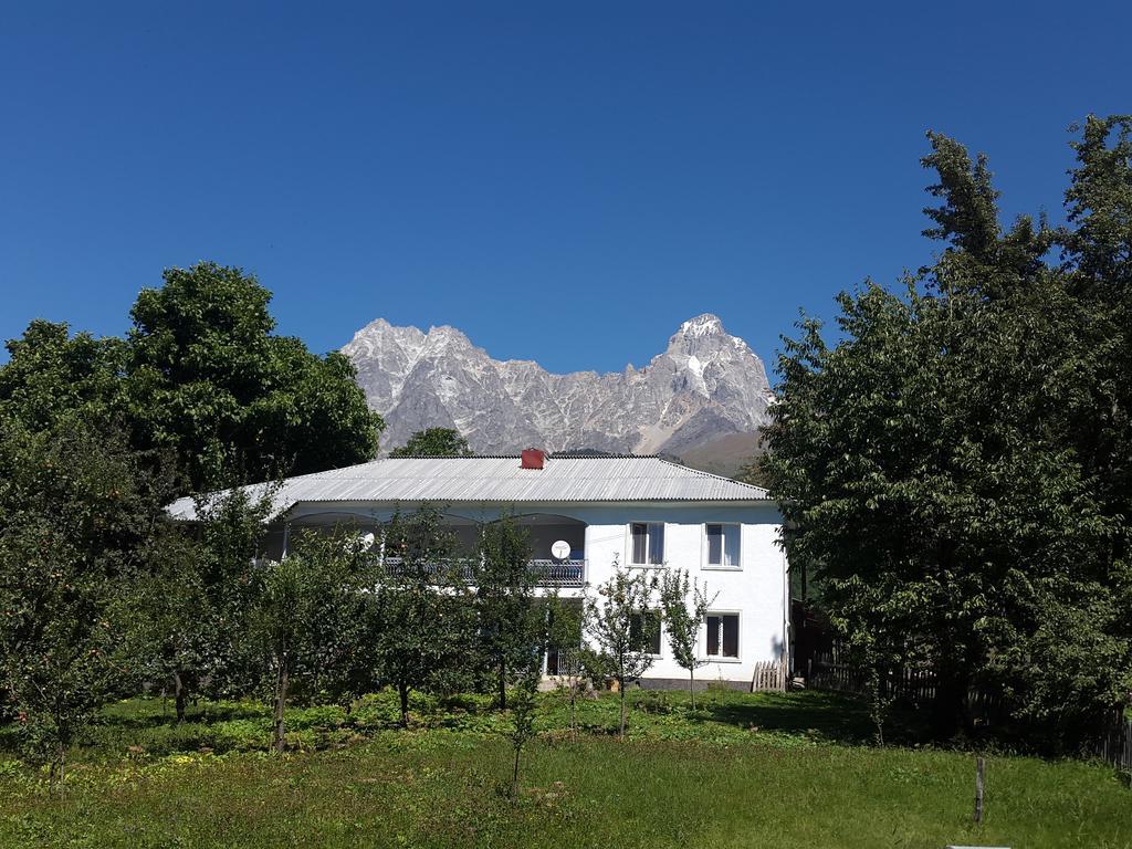 Guest House Vivaushba Bagvdanari المظهر الخارجي الصورة