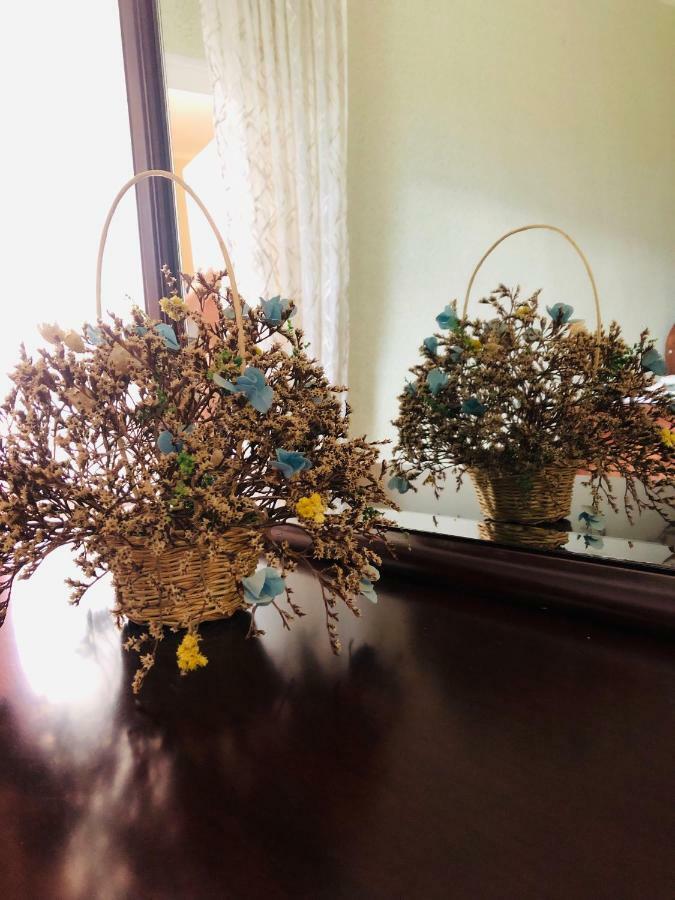 Guest House Vivaushba Bagvdanari المظهر الخارجي الصورة