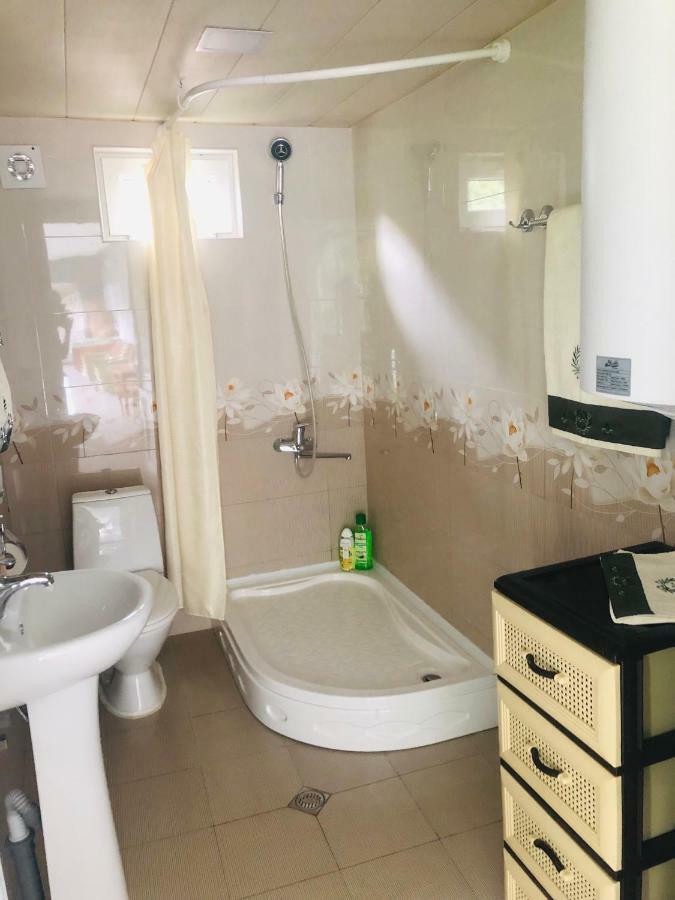 Guest House Vivaushba Bagvdanari المظهر الخارجي الصورة