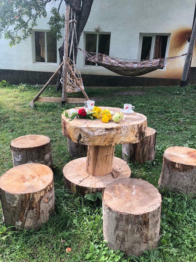 Guest House Vivaushba Bagvdanari المظهر الخارجي الصورة
