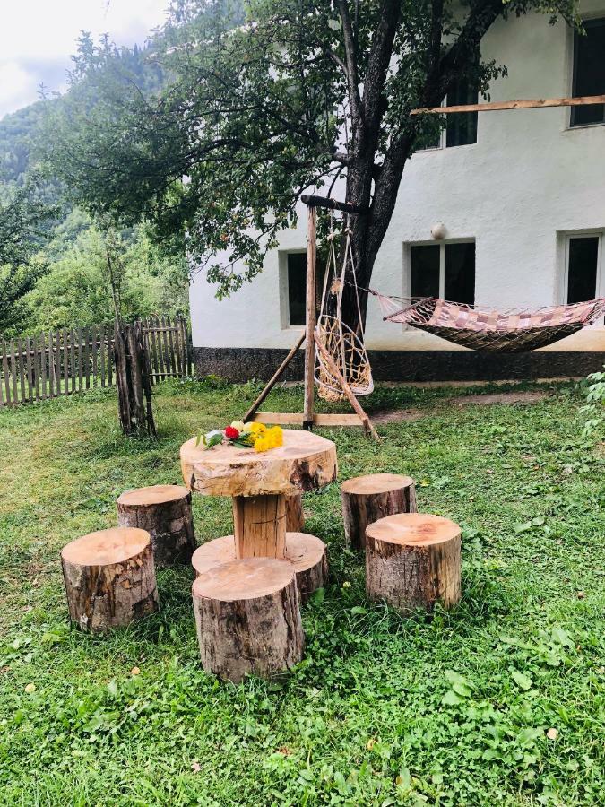 Guest House Vivaushba Bagvdanari المظهر الخارجي الصورة
