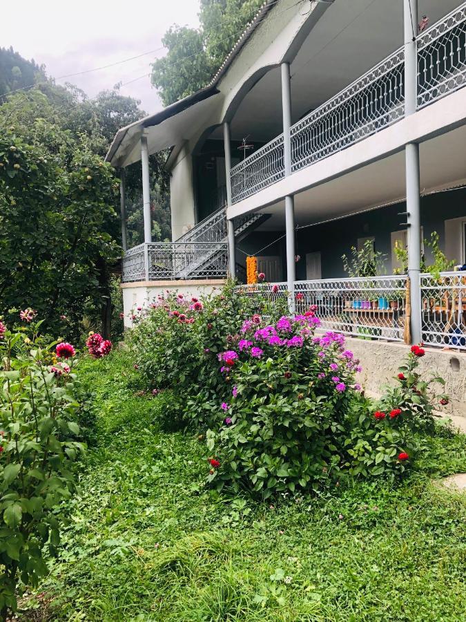 Guest House Vivaushba Bagvdanari المظهر الخارجي الصورة